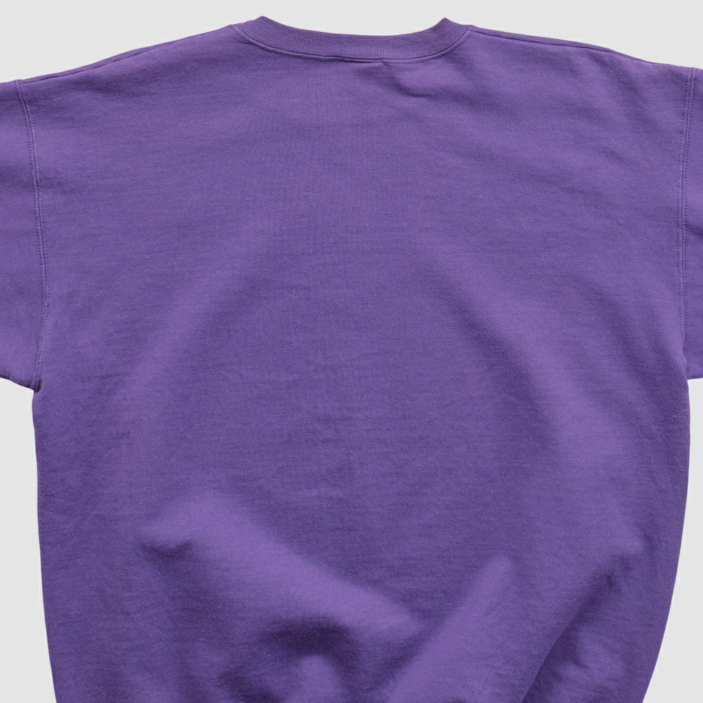 Minnesota Vikings Champion 90s Pullover Sweatshirt - Purple Pullover