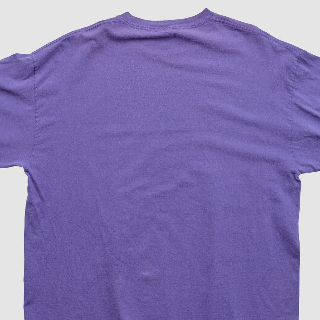Minnesota Vikings NFL 2010s Long Sleeve T-shirt - Purple T-shirts