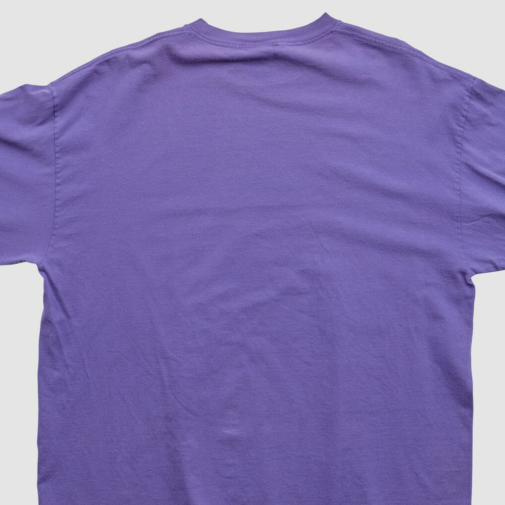 Minnesota Vikings NFL 2010s Long Sleeve T-shirt - Purple T-shirts