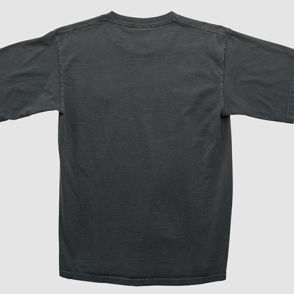 Pittsburgh Steelers NFL 2000s T-shirt - Black T-shirts