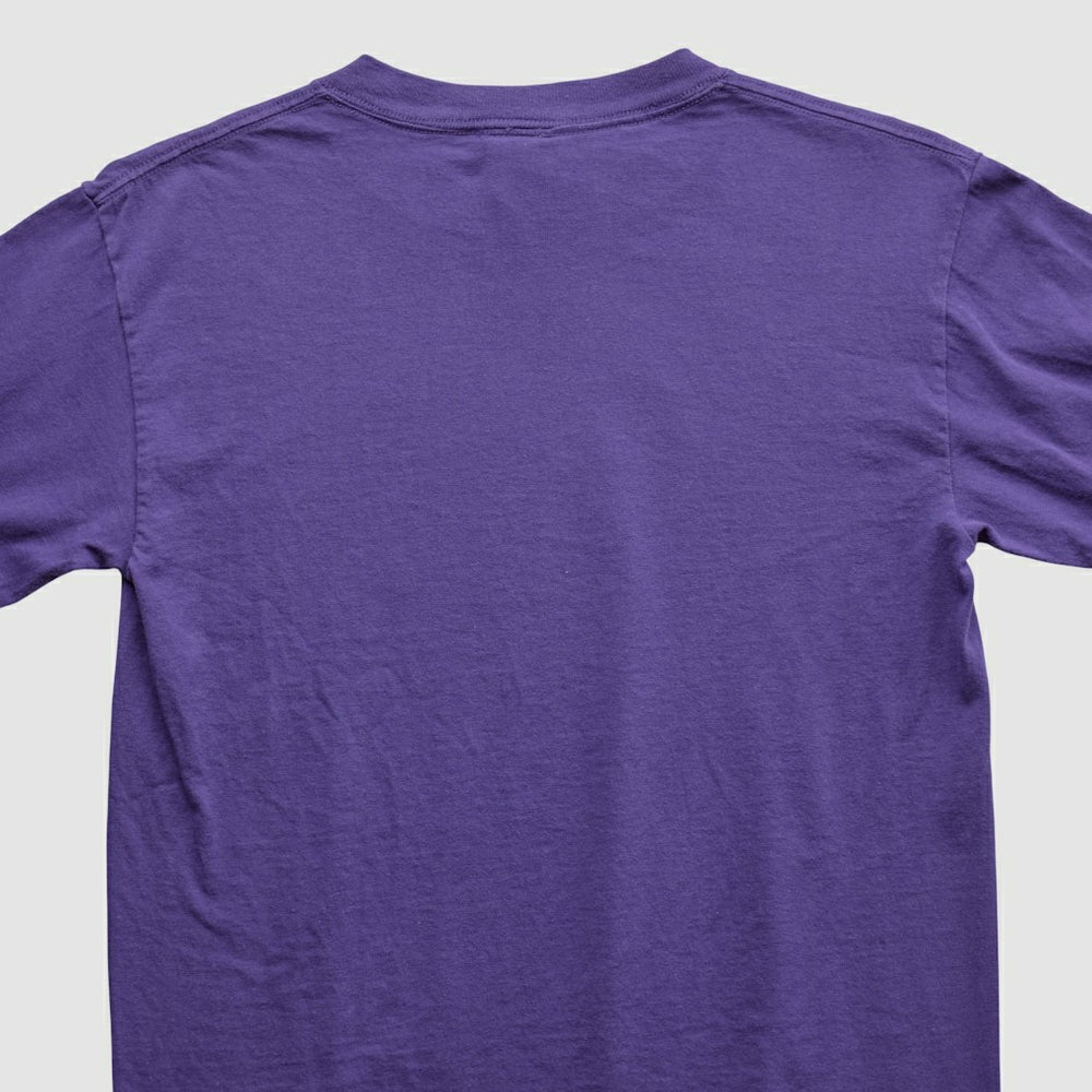 Adrian Peterson NFL 2000s Long Sleeve T-shirt - Purple T-shirts