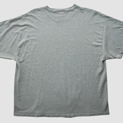 Denver Broncos NFL 2000s T-shirt - Heather Gray T-shirts