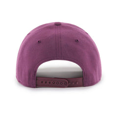 Anaheim Ducks '47 Cold Zone MVP Adjustable Hat - Purple | US 203972602