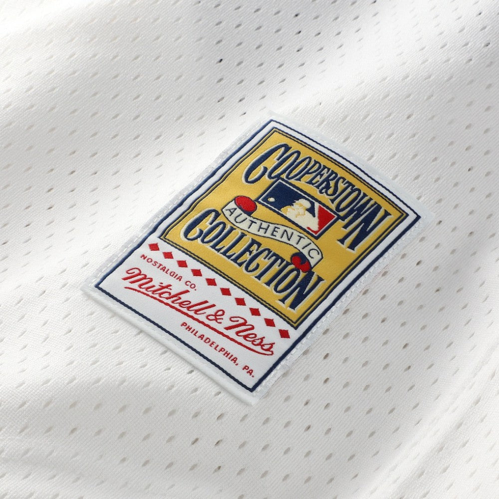 Carlton Fisk Chicago White Sox Mitchell & Ness Authentic Batting Practice Jersey - White Jerseys