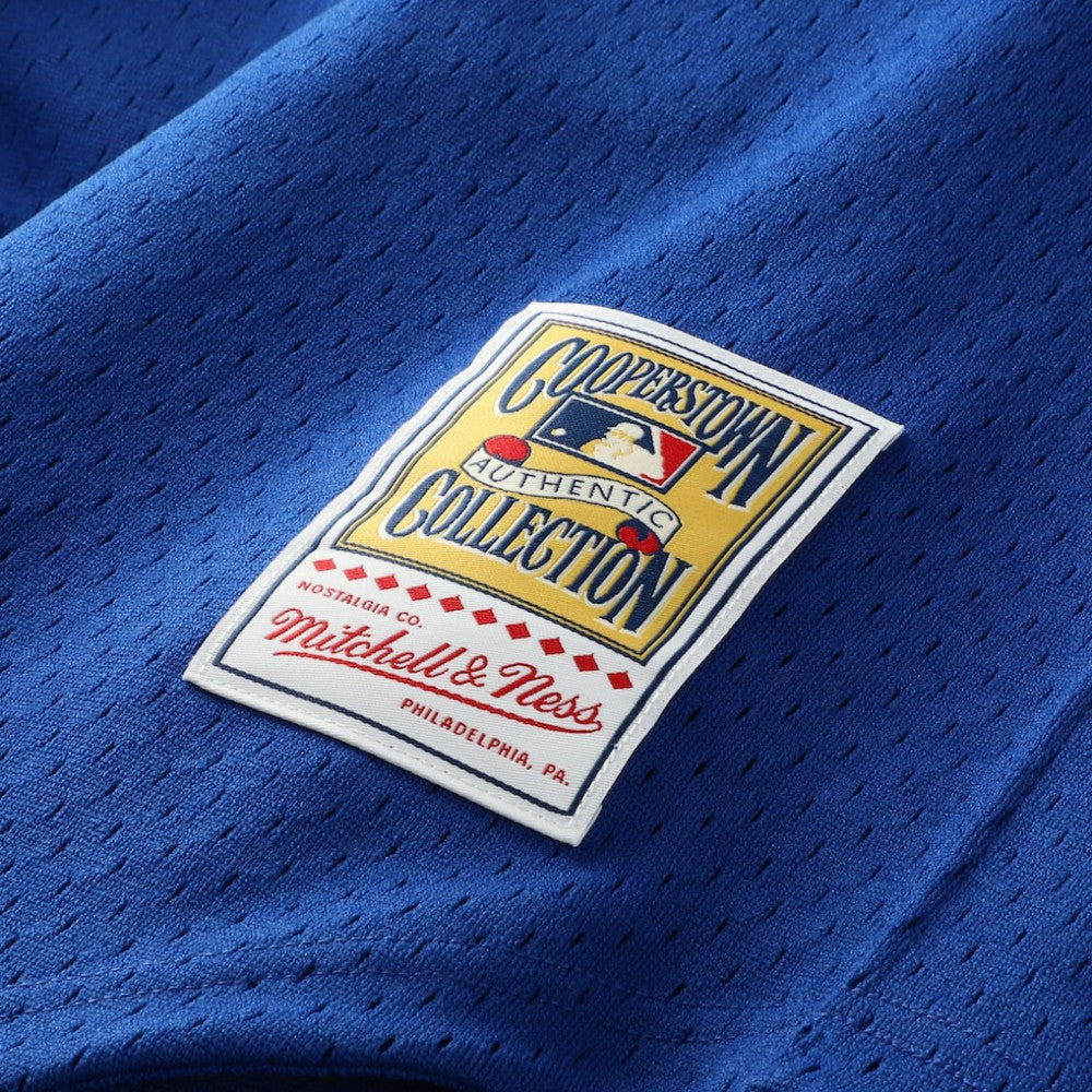 Ken Griffey Jr. Seattle Mariners Mitchell & Ness Authentic Batting Practice Jersey - Royal Jerseys