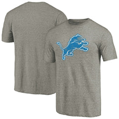 Detroit Lions Distressed Team T-Shirt - Ash T-shirts