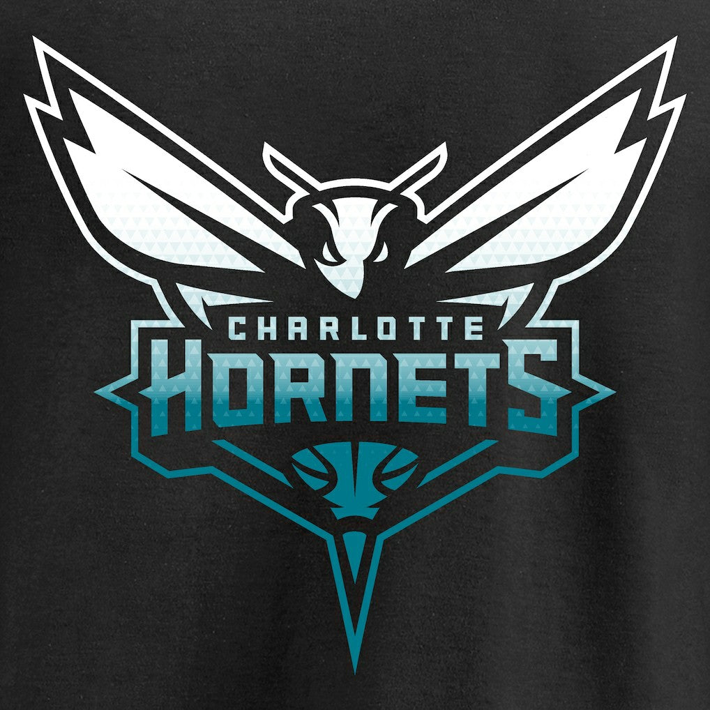 Charlotte Hornets Gradient Logo Long Sleeve T-Shirt Black