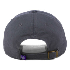 Sacramento Kings '47 Core Logo Clean Up Adjustable Hat Gray - 47 brand