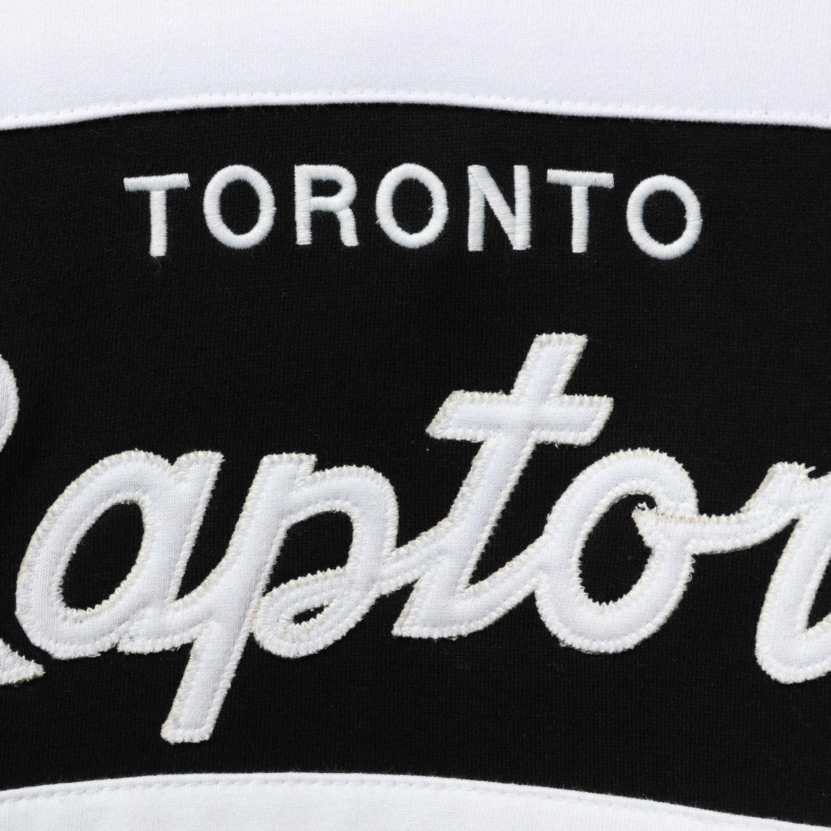 Toronto Raptors Head Coach Pullover Hoodie Purple/Black - Mitchell & Ness