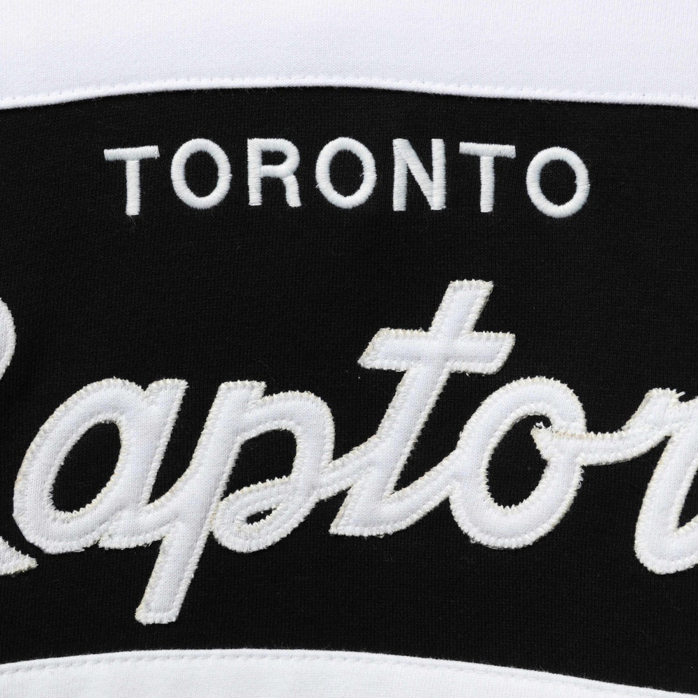 Toronto Raptors Head Coach Pullover Hoodie Purple/Black - Mitchell & Ness