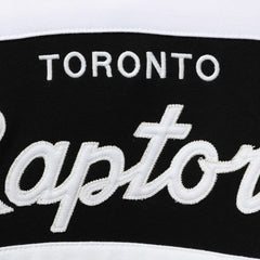 Toronto Raptors Head Coach Pullover Hoodie Purple/Black - Mitchell & Ness
