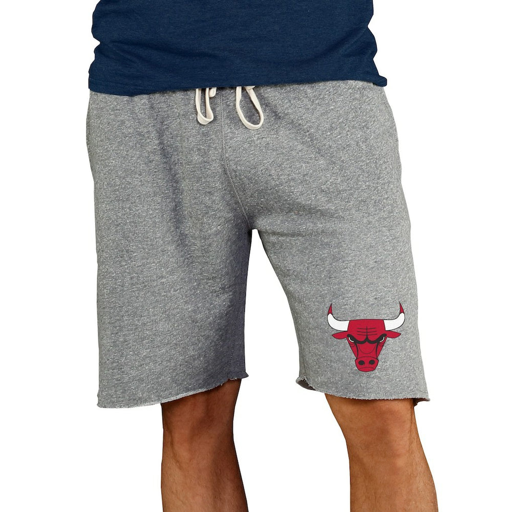 Chicago Bulls Concepts Sport Mainstream Terry Shorts Gray outlet