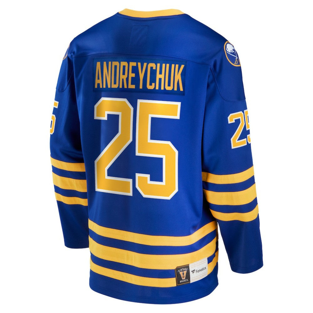 Dave Andreychuk Buffalo Sabres Fanatics Breakaway Retired Player Jersey - Royal | US 4193383