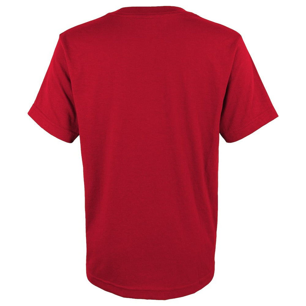 Atlanta Falcons Youth Dirty Birds T-Shirt - Red T-shirts