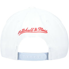 Chicago Bulls Day 5 Snapback Hat Gray/White - Mitchell & Ness