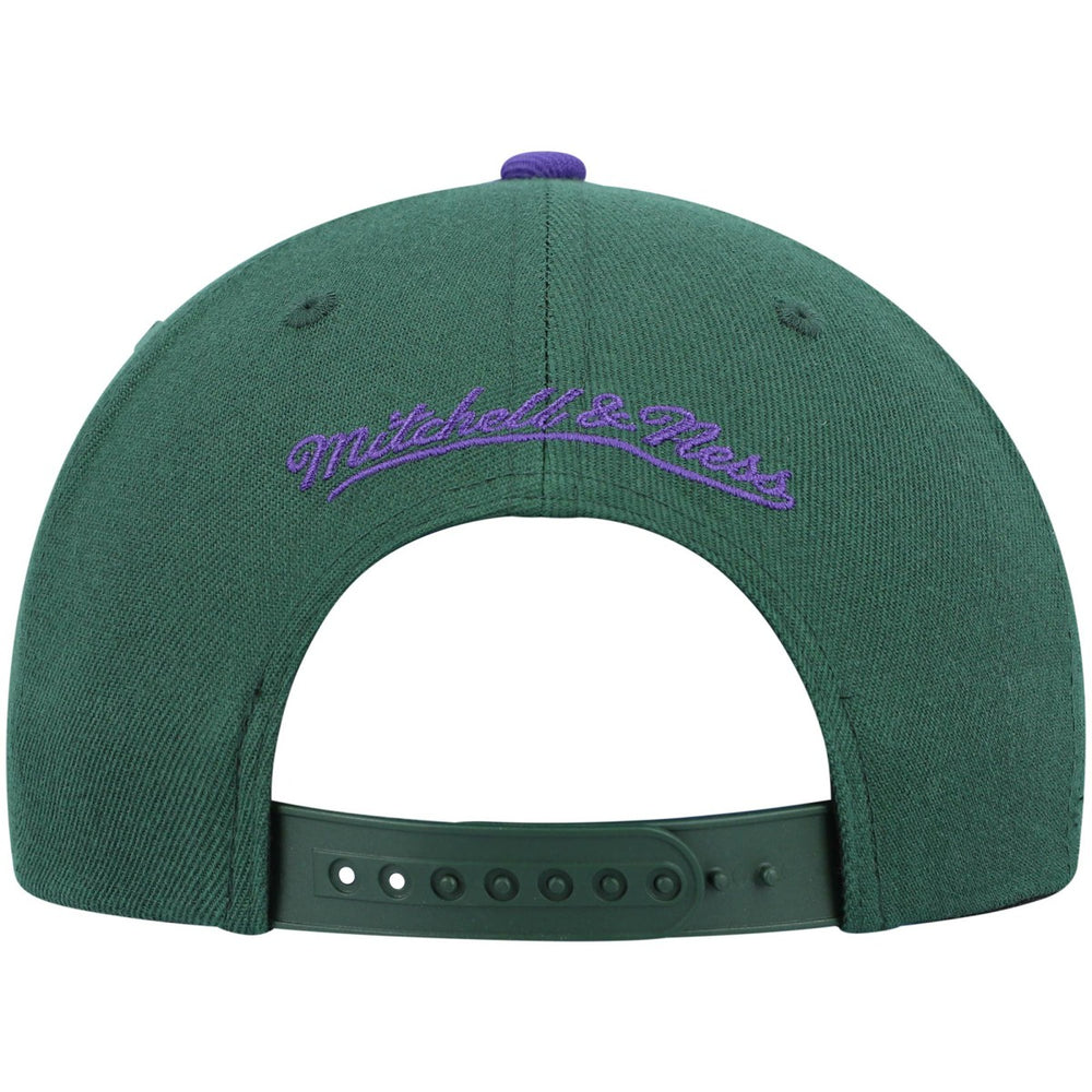 Milwaukee Bucks Hardwood Classics Team Two-Tone 2.0 Snapback Hat Green/Purple - Mitchell & Ness