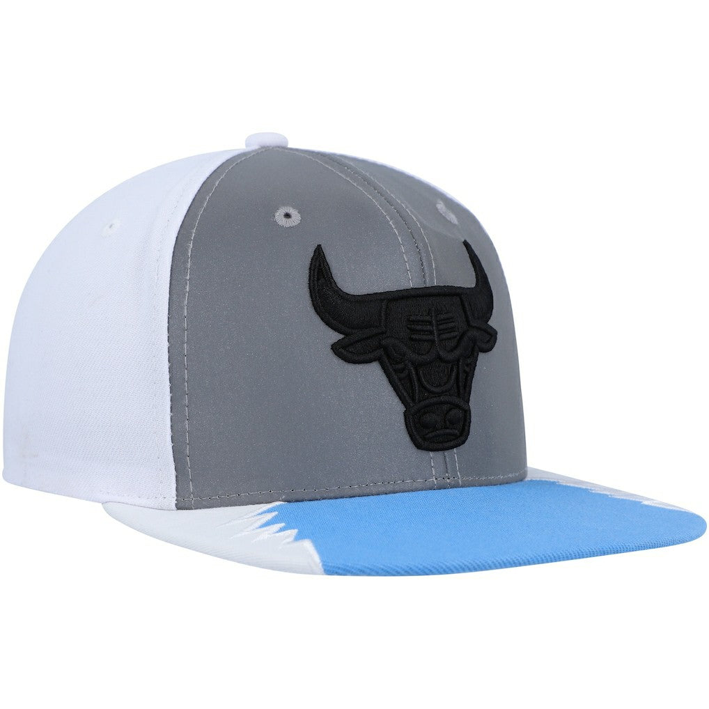 Chicago Bulls Day 5 Snapback Hat Silver/Blue - Mitchell & Ness