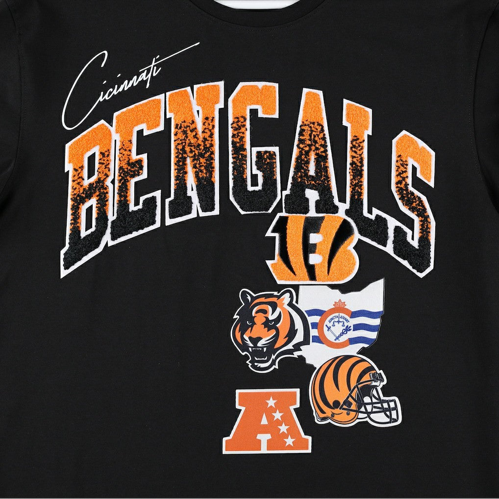 Cincinnati Bengals Pro Standard Hometown Collection T-Shirt - Black T-shirts