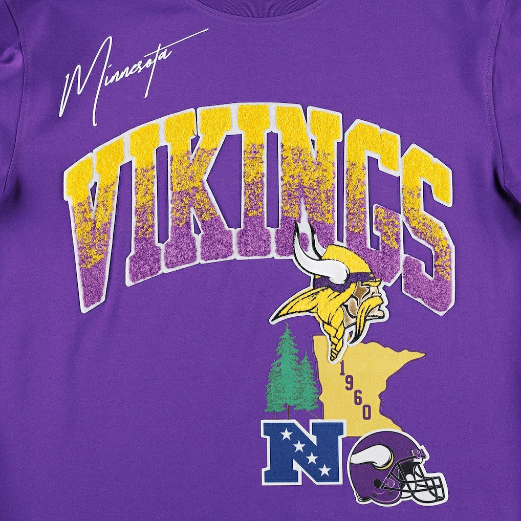 Minnesota Vikings Pro Standard Hometown Collection T-Shirt - Purple T-shirts