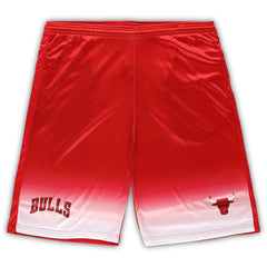 Chicago Bulls Big & Tall Fadeaway Shorts Red - Fanatics