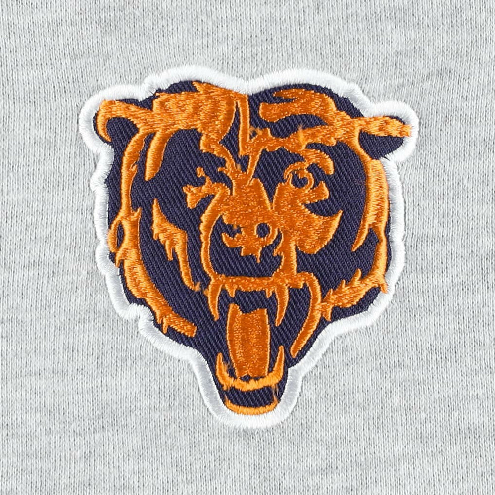 Chicago Bears Big & Tall Fleece Raglan Full-Zip Hoodie Jacket - Heather Gray Hoodies