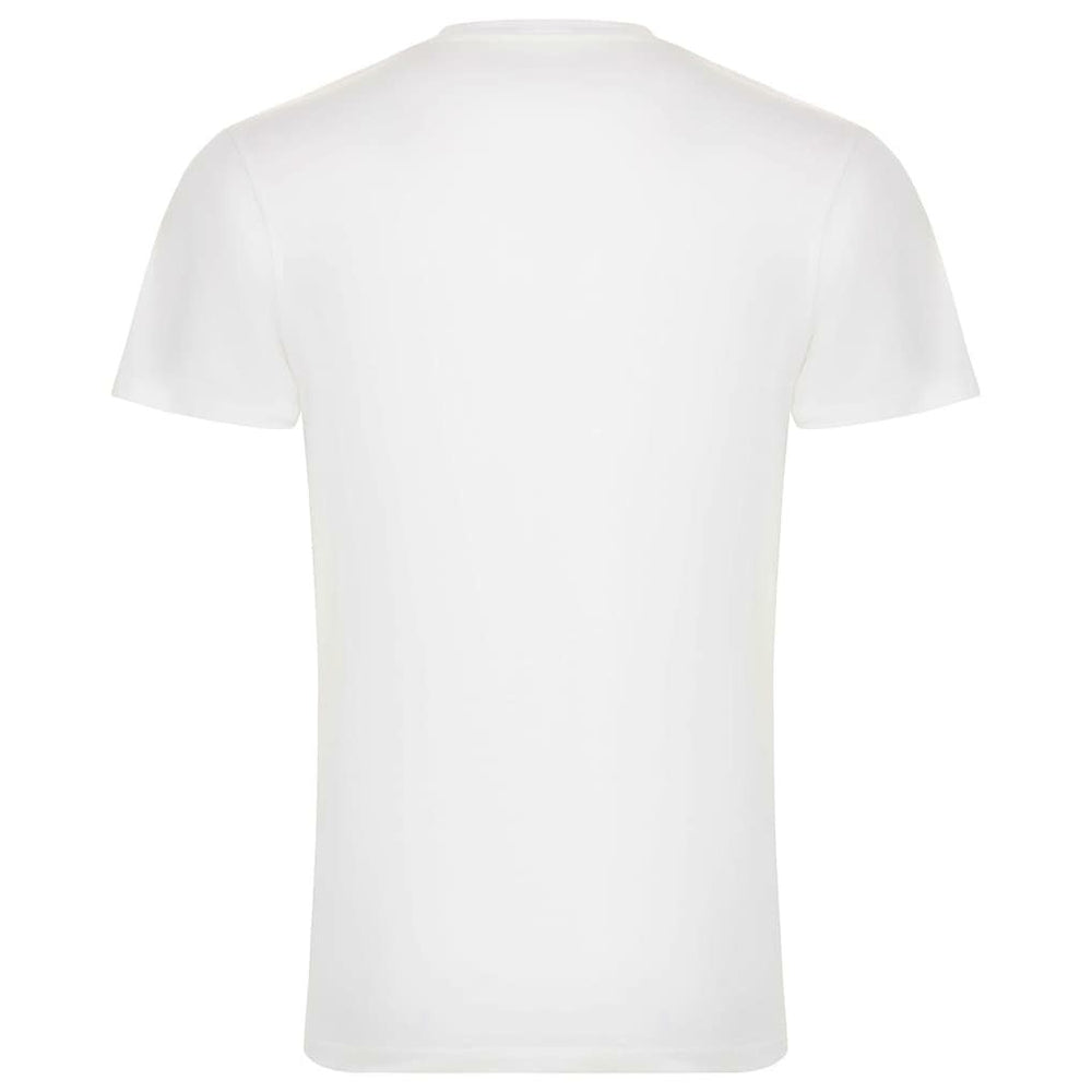 Chicago Bulls Sportiqe Unisex 1966 Collection City Flag Bingham T-Shirt White