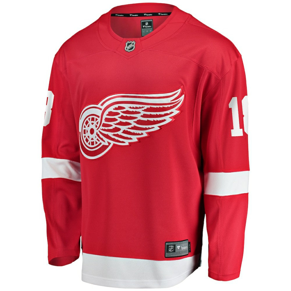 Andrew Copp Detroit Red Wings Fanatics Home Breakaway Player Jersey - Red | US 5010802