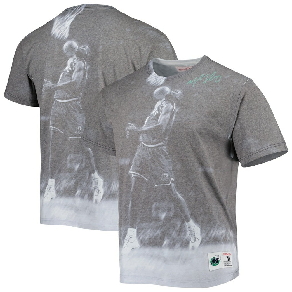 Michael Finley Dallas Mavericks Above The Rim T-Shirt Heather Gray - Mitchell & Ness