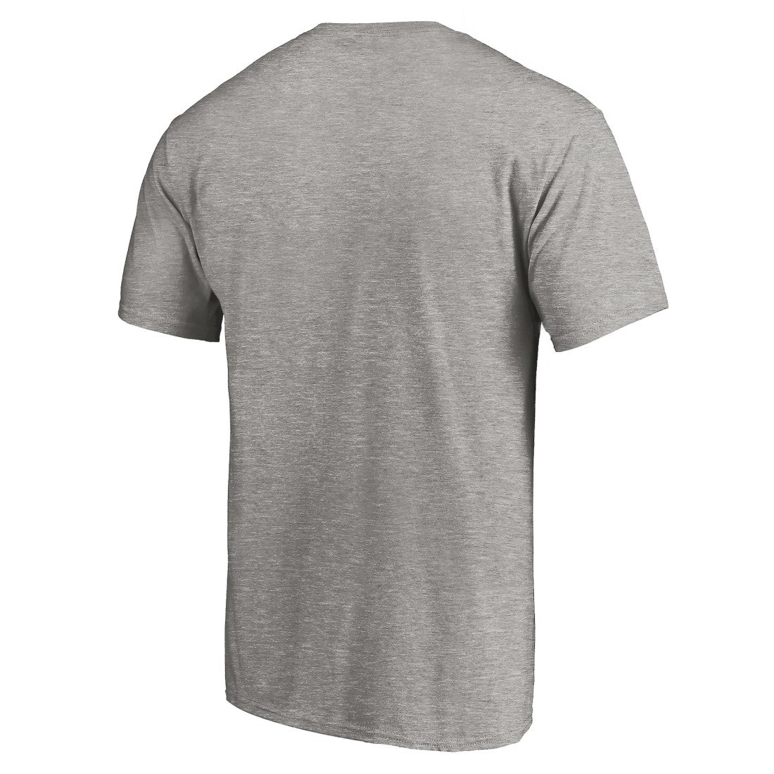 Detroit Lions Primary Logo T-Shirt - Heather Gray T-shirts