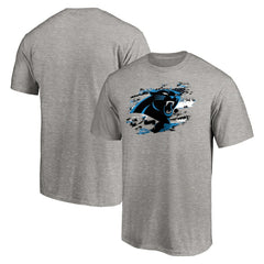 Carolina Panthers True Color T-Shirt - Heather Gray T-shirts