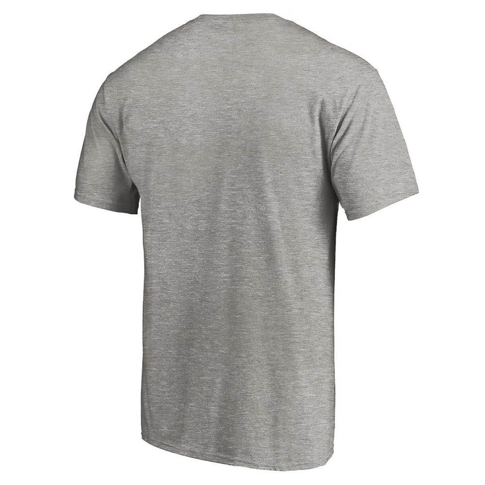Detroit Lions True Color T-Shirt - Heather Gray T-shirts