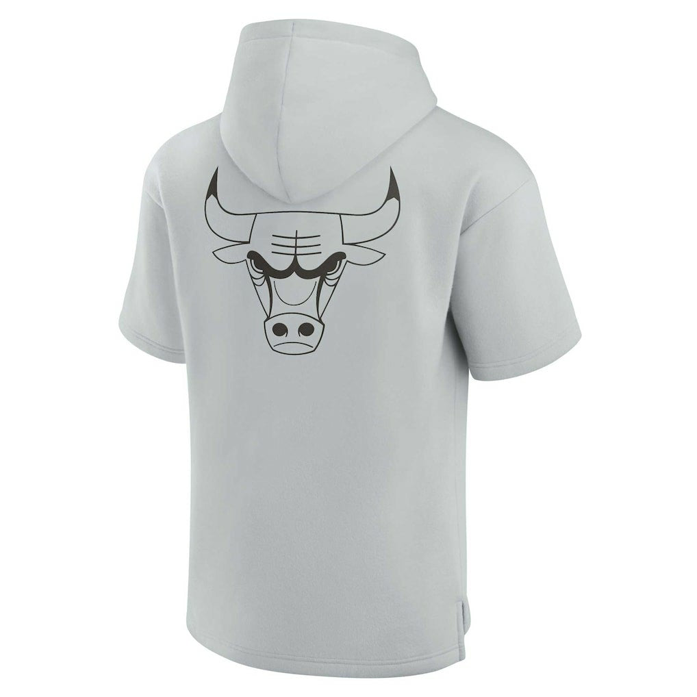 Chicago Bulls Unisex Elements Super Soft Fleece Short Sleeve Pullover Hoodie Gray - Fanatics