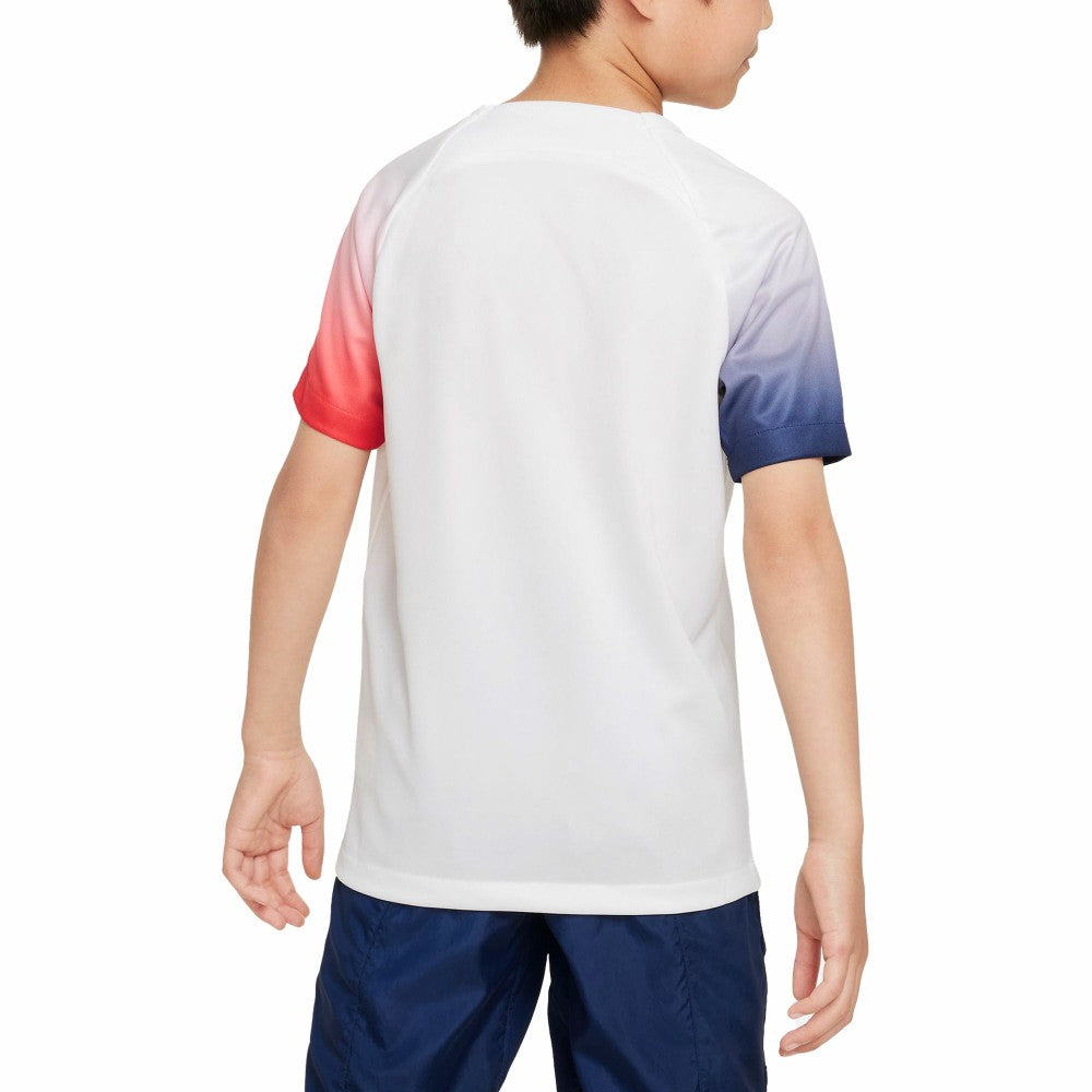 Paris Saint-Germain Youth 2023/24 Academy Pro Performance Pre-Match Top White - Nike on sale