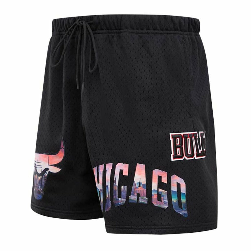 Chicago Bulls Pro Standard City Scape Mesh Shorts Black outlet