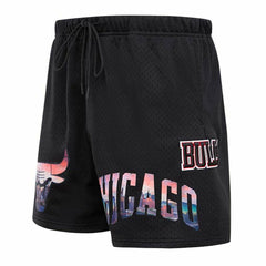 Chicago Bulls Pro Standard City Scape Mesh Shorts Black outlet