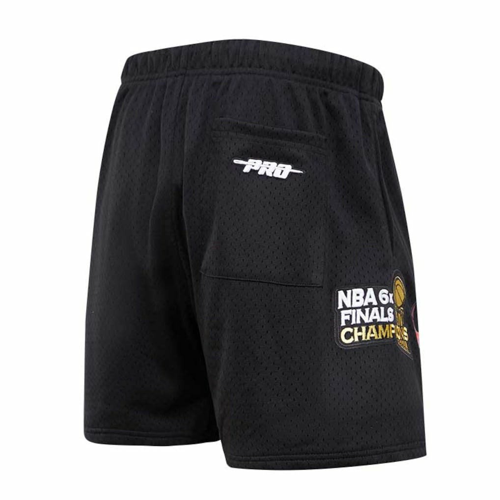 Chicago Bulls Pro Standard City Scape Mesh Shorts Black outlet