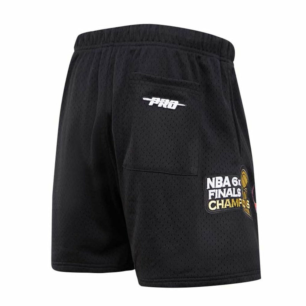 Chicago Bulls Pro Standard City Scape Mesh Shorts Black outlet