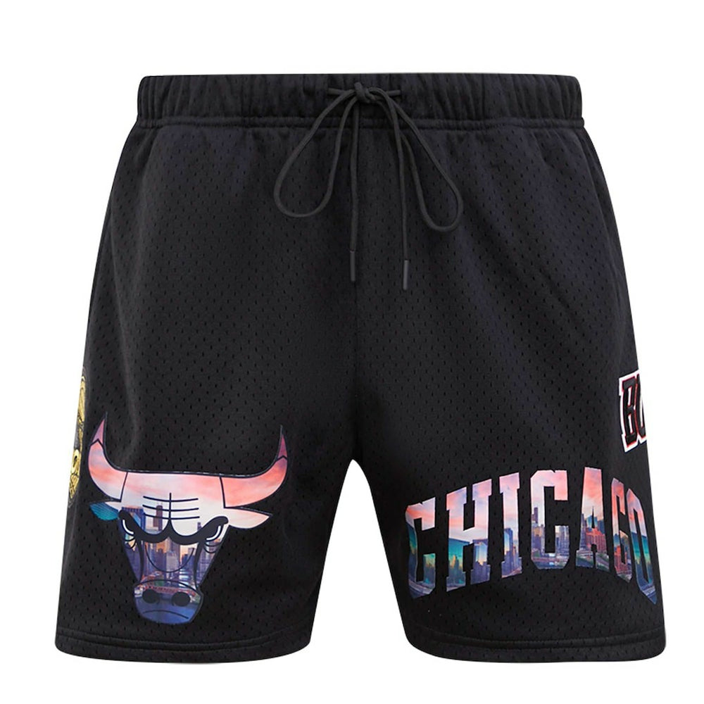 Chicago Bulls Pro Standard City Scape Mesh Shorts Black outlet