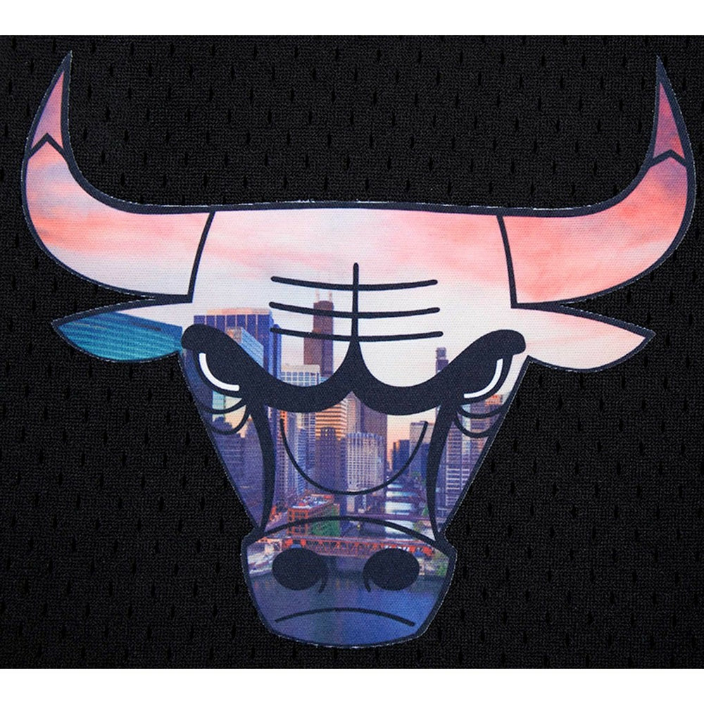 Chicago Bulls Pro Standard City Scape Mesh Shorts Black outlet