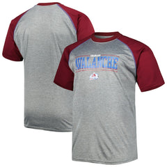 Colorado Avalanche Big & Tall Logo Raglan T-Shirt - Heather Gray | US 5281593