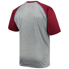 Colorado Avalanche Big & Tall Logo Raglan T-Shirt - Heather Gray | US 5281593