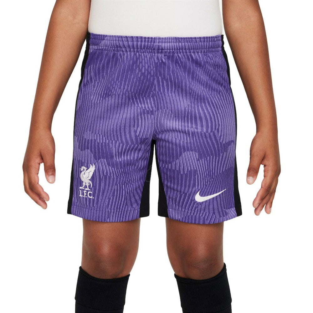 Liverpool Youth 2023/24 Third Stadium Performance Shorts Purple - Nike outlet