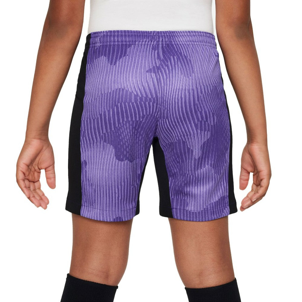 Liverpool Youth 2023/24 Third Stadium Performance Shorts Purple - Nike outlet
