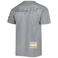 Pittsburgh Penguins Mitchell & Ness City Collection T-Shirt - Heather Gray | US 5294004