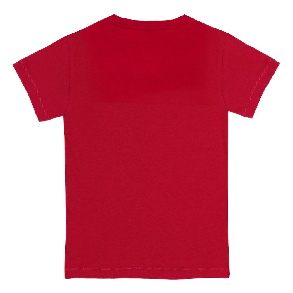 Boston Red Sox Tiny Turnip Youth Baseball Cross Bats T-Shirt - Red T-shirts