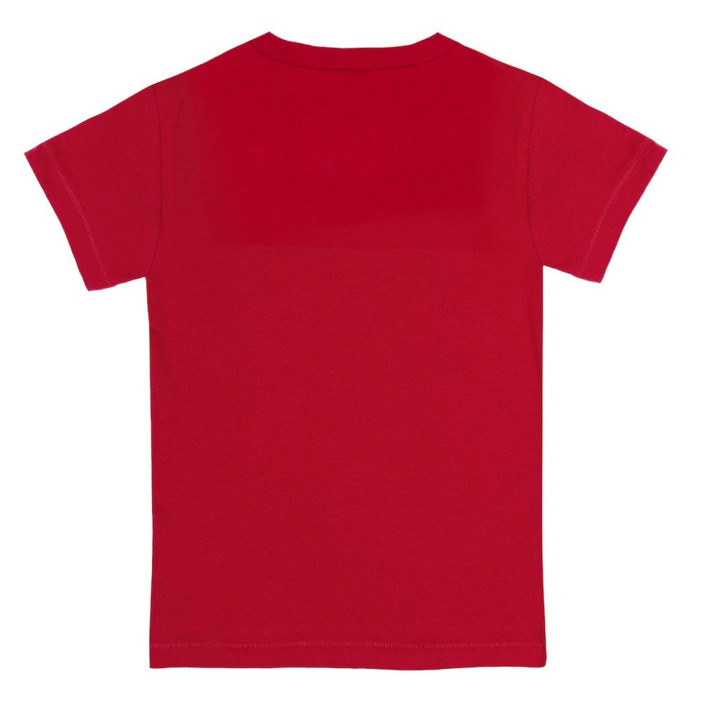 Boston Red Sox Tiny Turnip Youth Teddy Boy T-Shirt - Red T-shirts