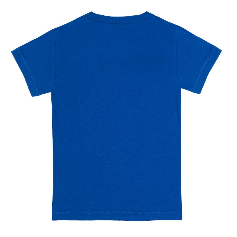 Chicago Cubs Tiny Turnip Youth Popcorn T-Shirt - Royal T-shirts