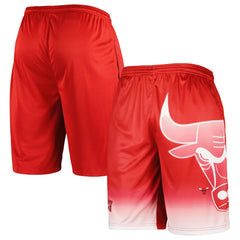 Chicago Bulls Graphic Shorts Red - Fanatics