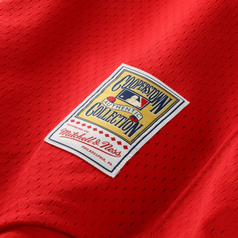 Dale Murphy Atlanta Braves Mitchell & Ness Authentic Batting Practice Jersey - Scarlet Jerseys
