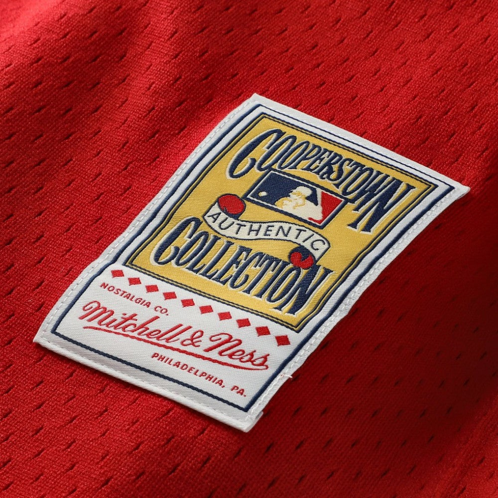 Johnny Bench Cincinnati Reds Mitchell & Ness Authentic Batting Practice Jersey - Scarlet Jerseys